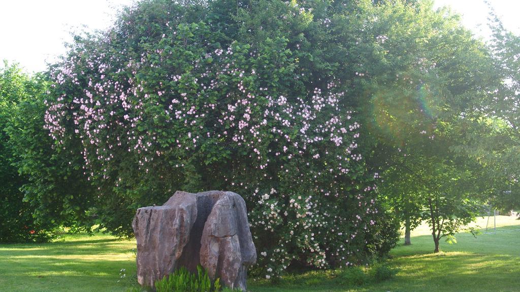 Agriturismo Domus Magna Povoletto Ngoại thất bức ảnh